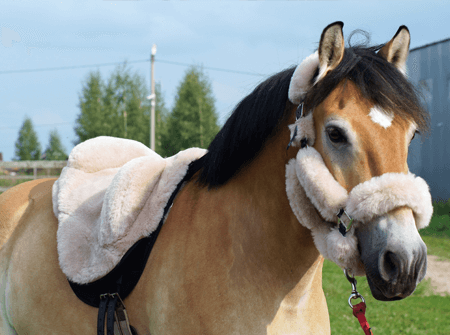 Товары для конного спорта 