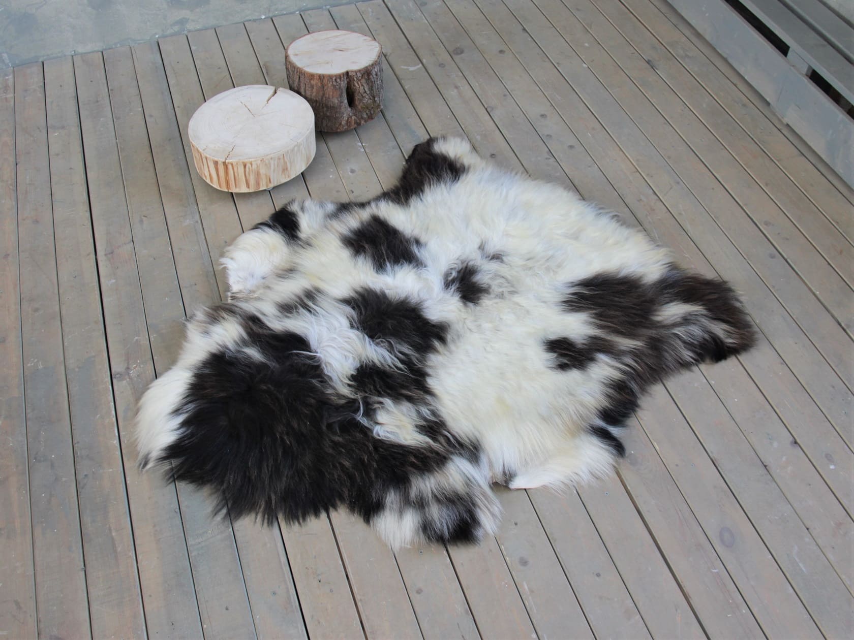 Овчина (молочная с черными пятнышками) с волнистым ворсом 110 х 70 см.